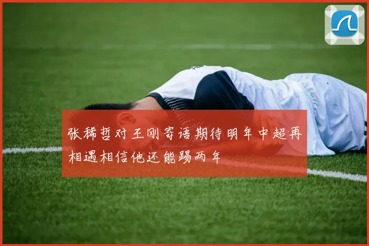 张稀哲对王刚寄语期待明年中超再相遇相信他还能踢两年