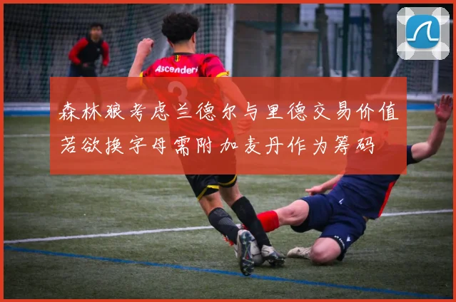 森林狼考虑兰德尔与里德交易价值若欲换字母需附加麦丹作为筹码