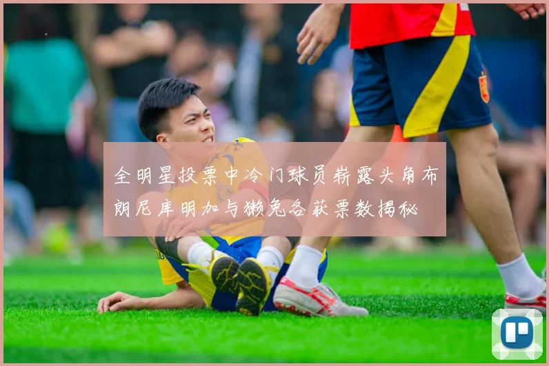 全明星投票中冷门球员崭露头角布朗尼库明加与獭兔各获票数揭秘