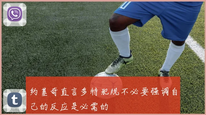 约基奇直言多特犯规不必要强调自己的反应是必需的